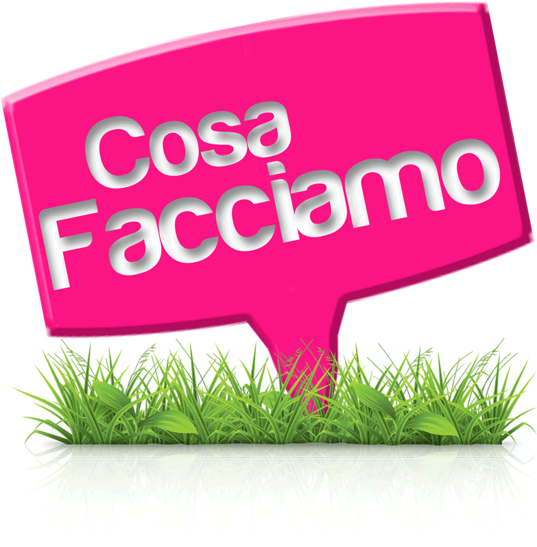 Cosa facciamo